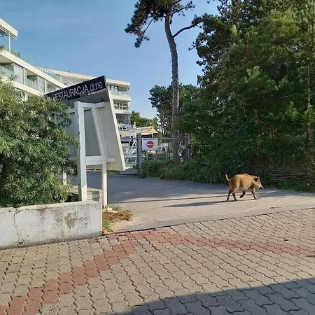 Apartmán With 2 Bedrooms *