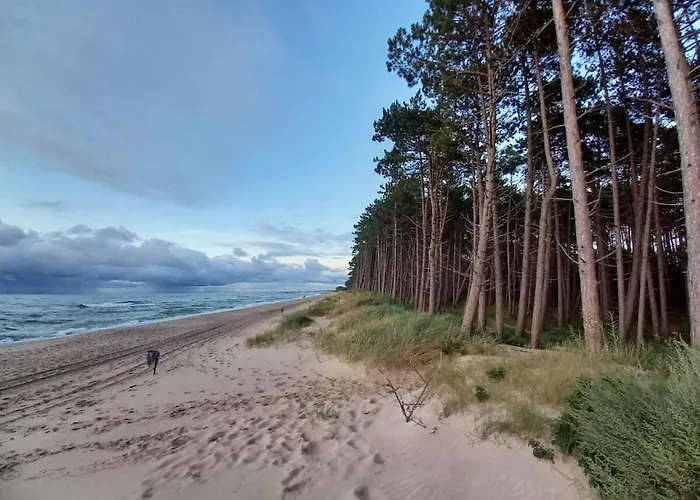 דירה With 2 Bedrooms