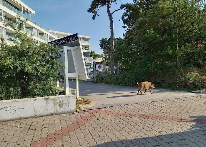 דירה With 2 Bedrooms *